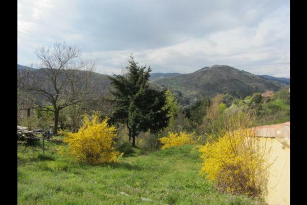 Gite De La Suche Lamastre Kültér fotó